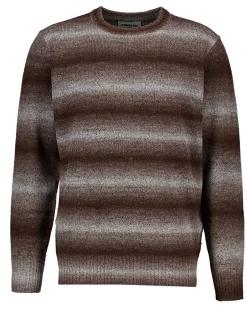 Sweat - Marron<Zeeman Outlet