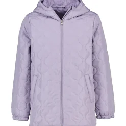 Veste/gilet - Violet<Zeeman Outlet
