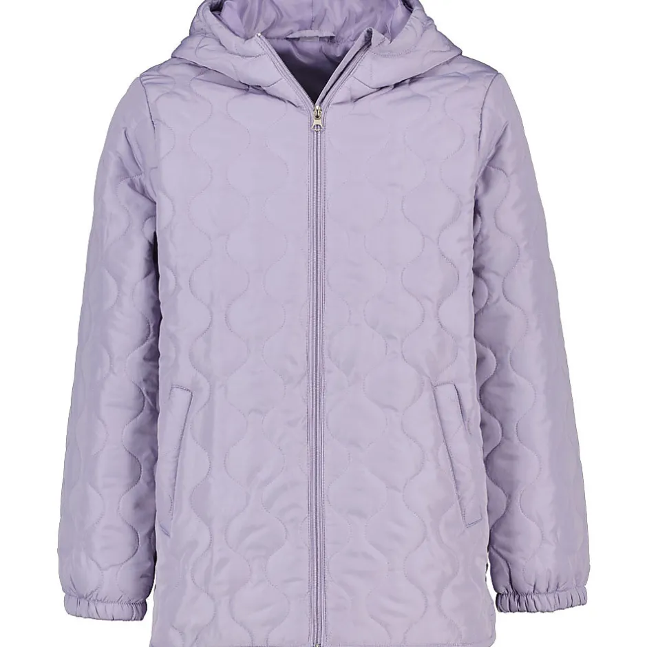 Veste/gilet - Violet<Zeeman Outlet