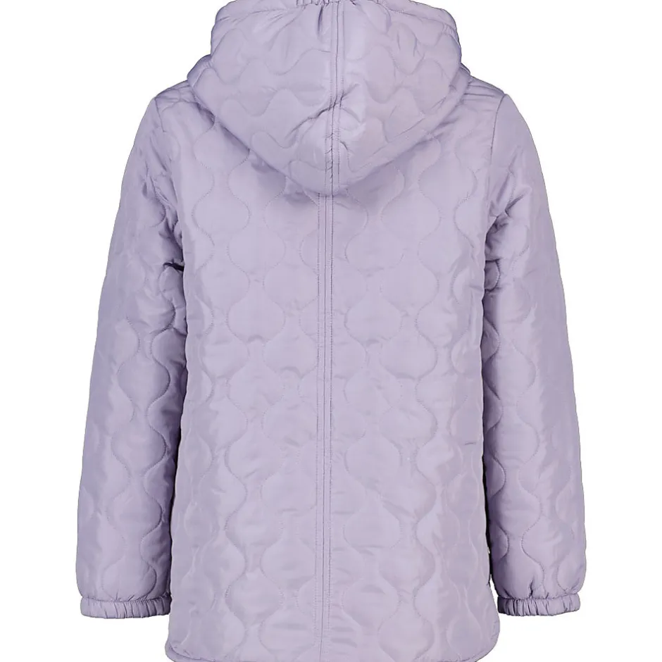 Veste/gilet - Violet<Zeeman Outlet